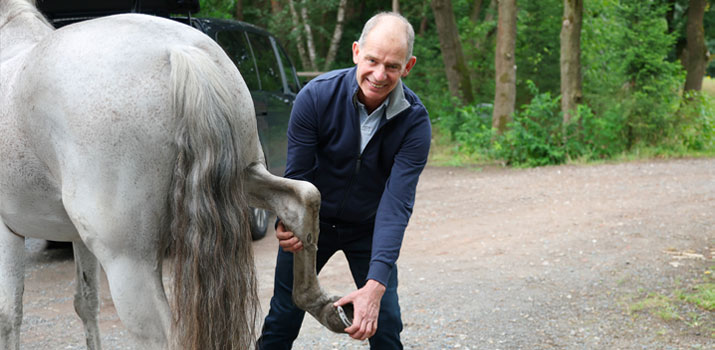 YouTube Videopodcast mit Dr. med. vet. Ralf Pellmann – Fachtierarzt für Pferde