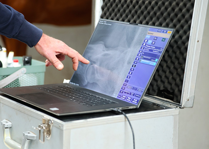 Röntgenuntersuchung – Dr. med. vet. Ralf Pellmann – Fachtierarzt für Pferde