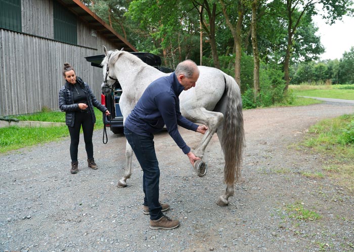 Röntgenuntersuchung – Dr. med. vet. Ralf Pellmann – Fachtierarzt für Pferde
