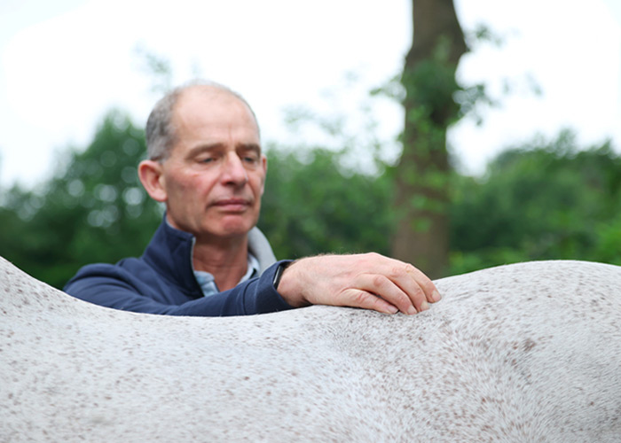 Röntgenuntersuchung – Dr. med. vet. Ralf Pellmann – Fachtierarzt für Pferde