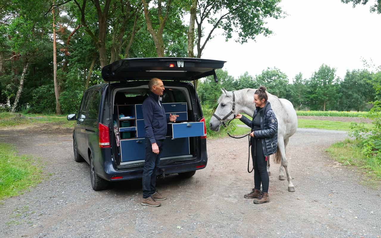 Dr. med. vet. Ralf Pellmann – Fachtierarzt für Pferde